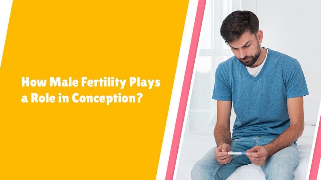 role of male fertility in conception