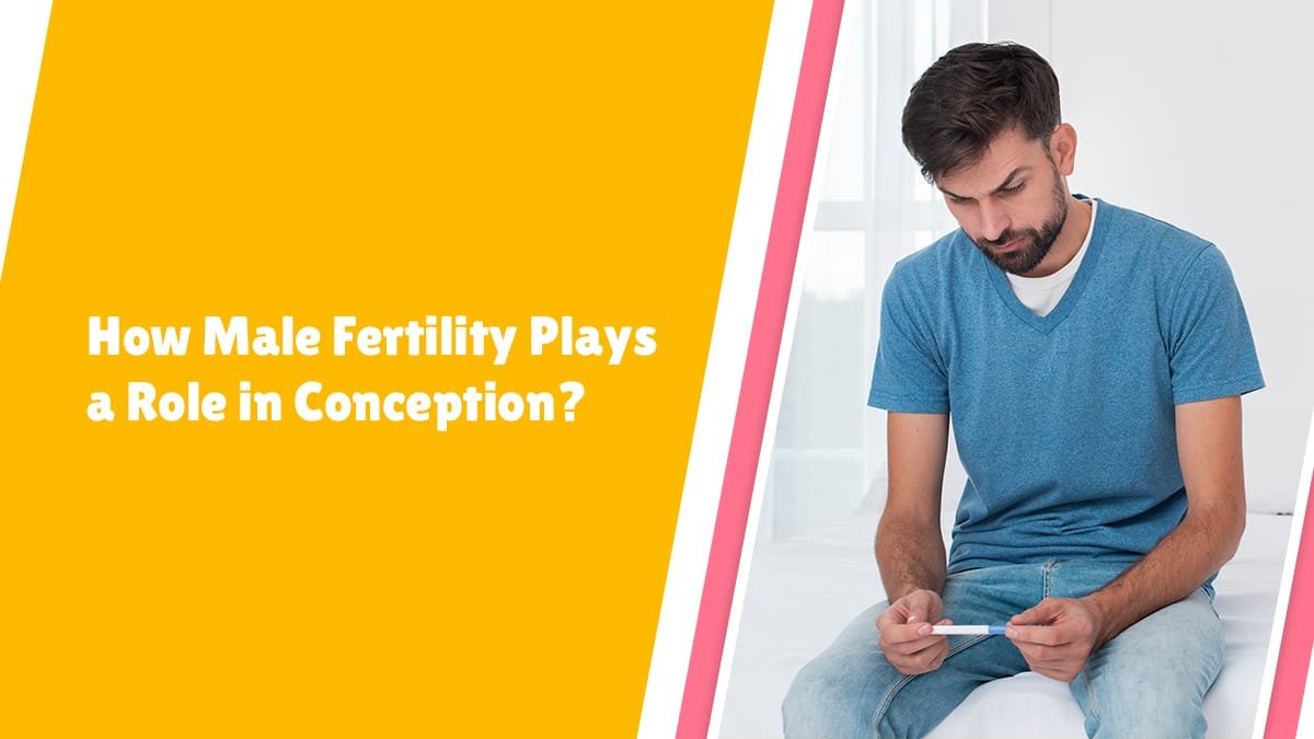 How Male Fertility Plays a Role in Conception?