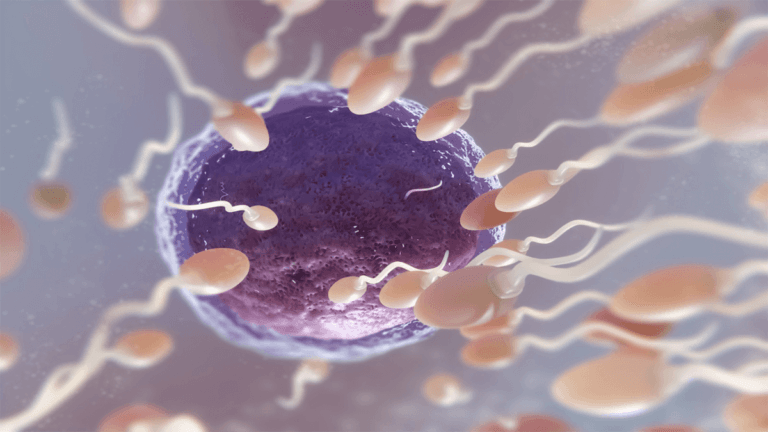 Male Infertility: Causes, Treatments & Success with IVF
