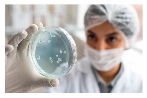 Blastocyst Culture Procedure