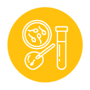 non-obstructive azoospermia