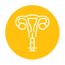 transferred into the uterus