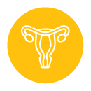 real-time view of the uterus
