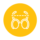 Vesectomy