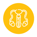 Reproductive Health