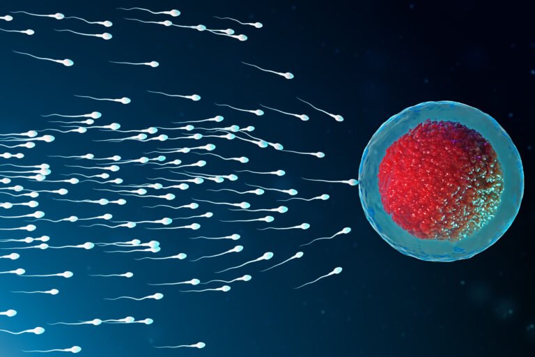 Sperm Freezing in India: Who Should Consider It and How It Works