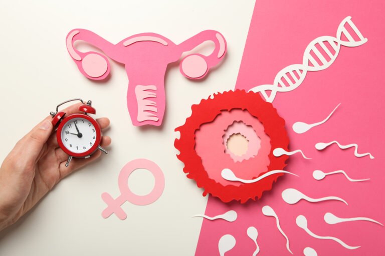 Ovulation Induction vs IVF: Which Treatment Is Right for Your Fertility Journey?