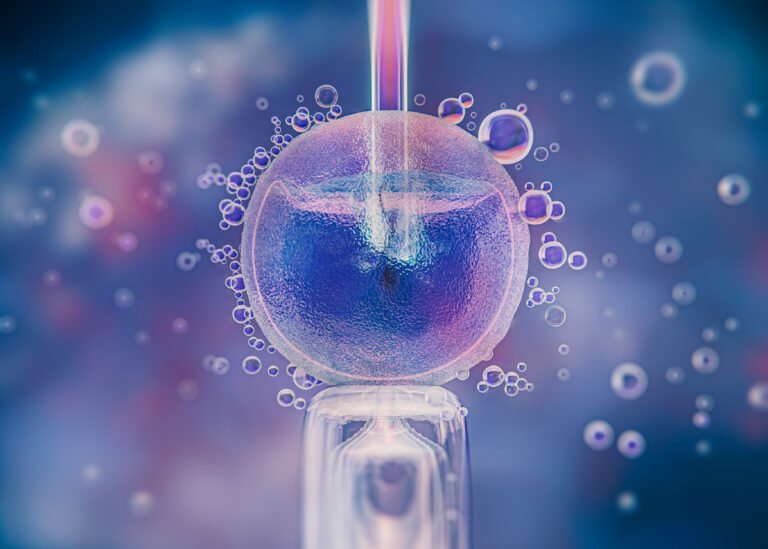 What Is Blastocyst Transfer? Why It May Improve Your IVF Success Rate